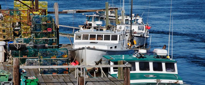 Annies Taxi has tours to see the working waterfront of Seacoast and Portsmouth NH